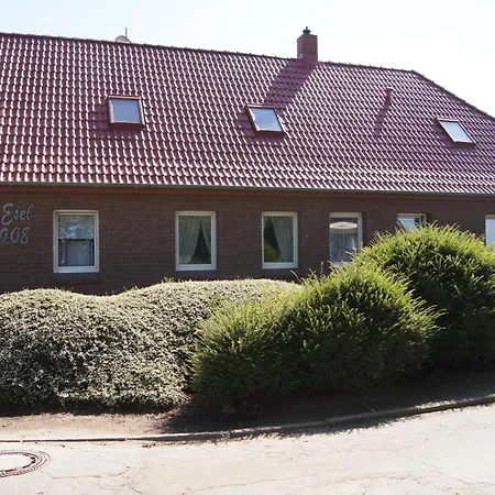 Specht - Haus Grauer Esel -4- * דאהמה